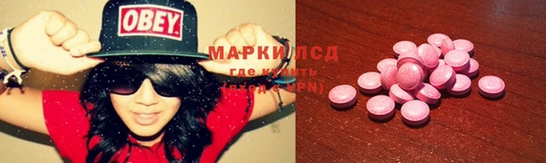 ГАЛЛЮЦИНОГЕННЫЕ ГРИБЫ Баксан