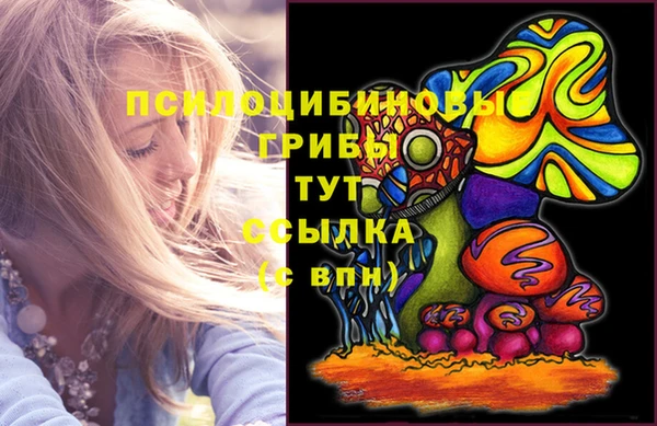 ГАЛЛЮЦИНОГЕННЫЕ ГРИБЫ Баксан