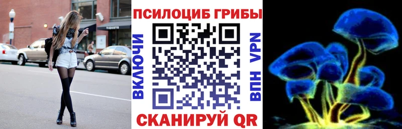 Галлюциногенные грибы Psilocybine cubensis  купить наркотики цена  Шагонар 
